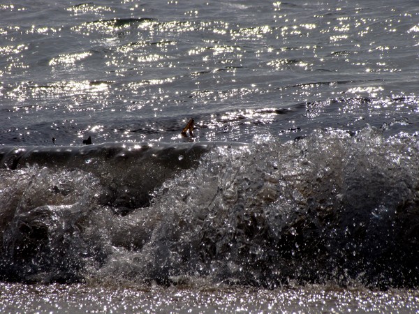 shining sea