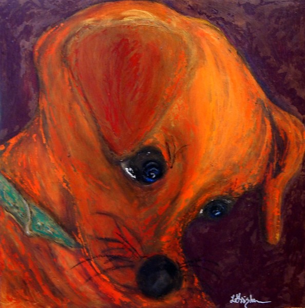 Colorful Pup