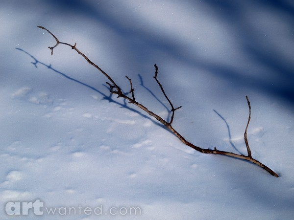 Shadow , Silence ,  Prestine Snow