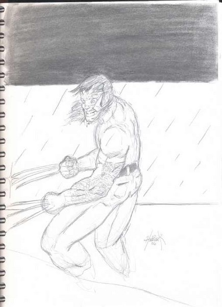 Wolverine