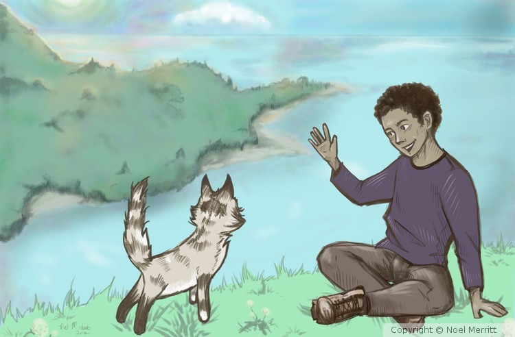 Children's Book