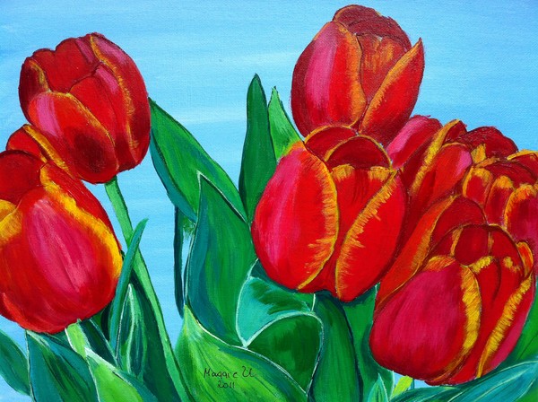 Red tulips