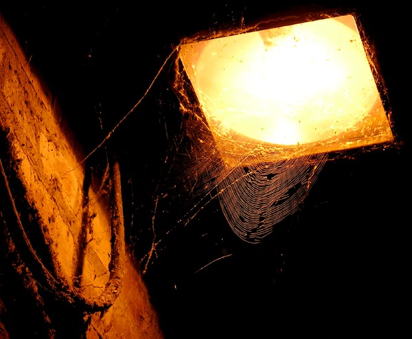 Weblight