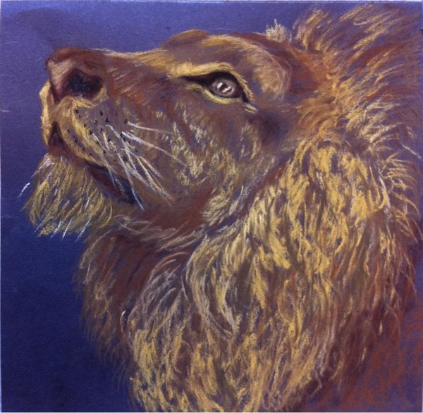 My Lion