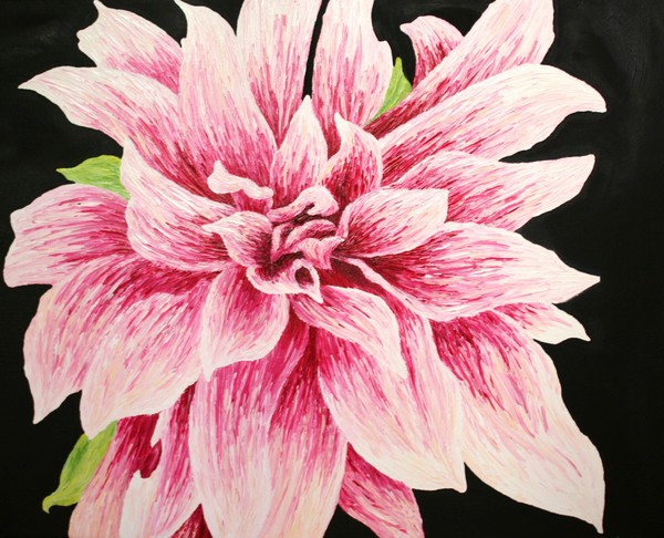 Flower Series 1: Pink
