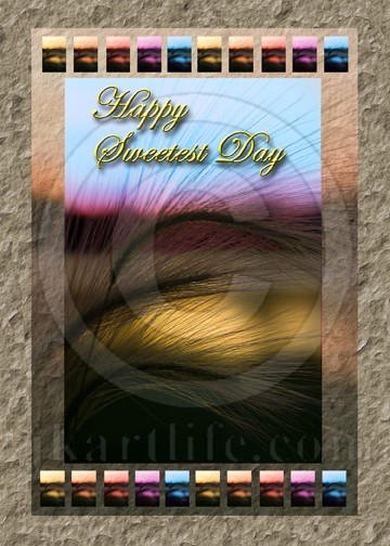 Sweetest Day Grass Sunset 918324