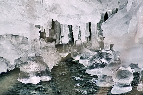 Icicles on the River