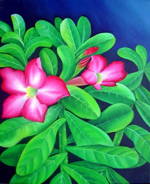 flower series 1