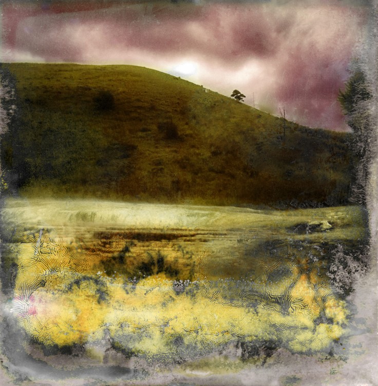 Amalgamated Fragmentation / Microbscape 20