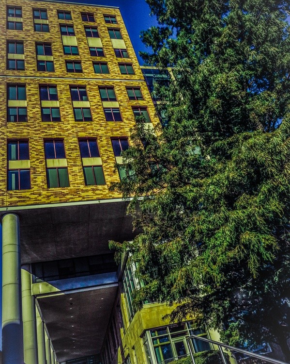 Kansas City Library