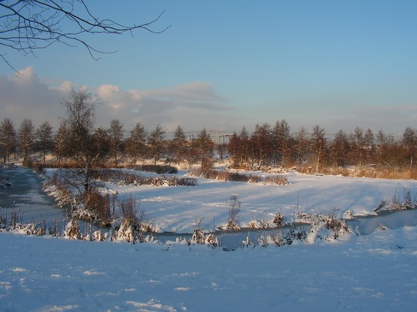 winter 12