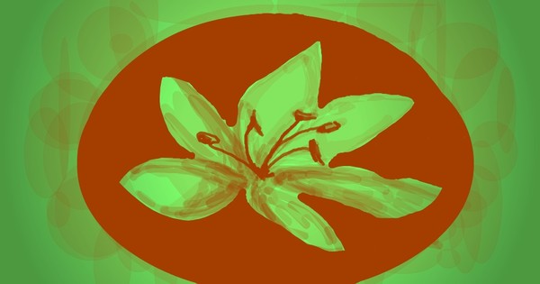 Vibrant lily