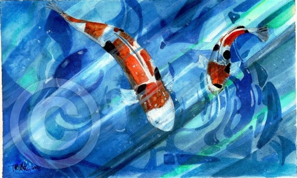 Koi vs