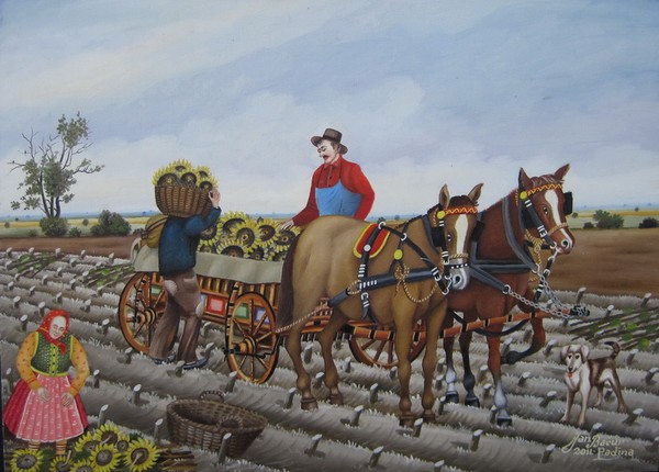 Transport of sunflower