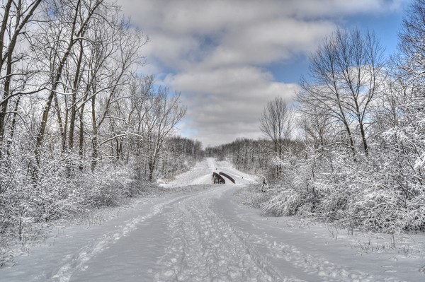 Winter at Raceway Woods