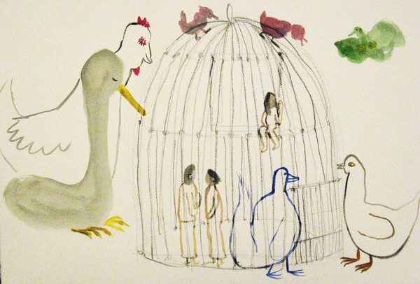 Birds' world