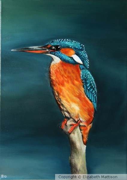 Kingfisher