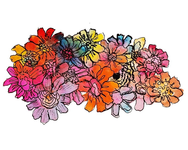 wild bunch watercolor