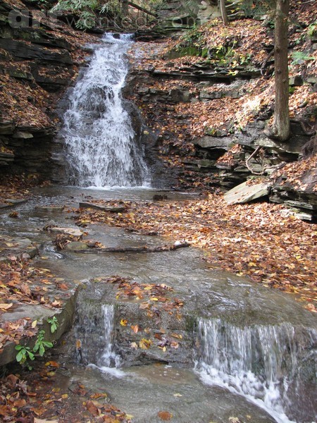 IMG 0055