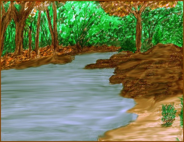 Forest  pond