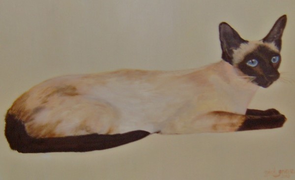 Siamese Cat