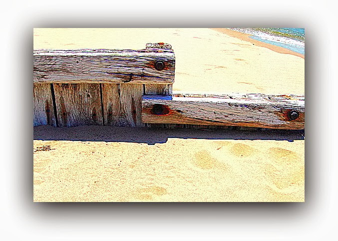 Driftwood2