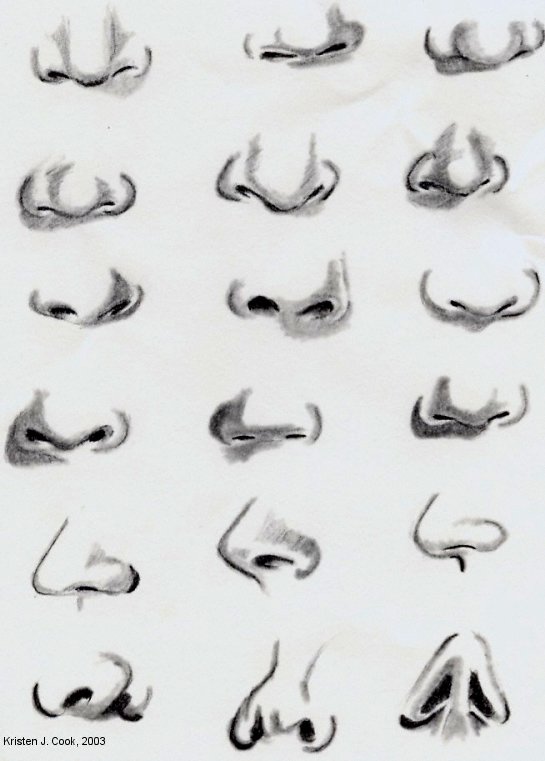 Noses