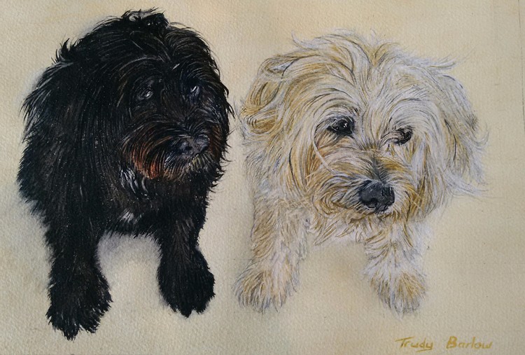 Sonny and poppy