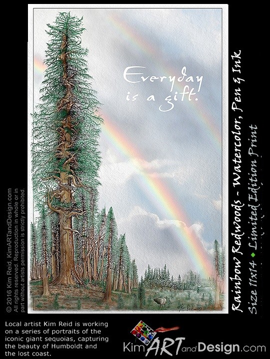 Rainbow Redwoods, Everyday is a gift