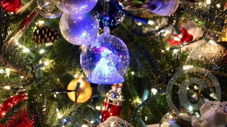 lights of Christmas