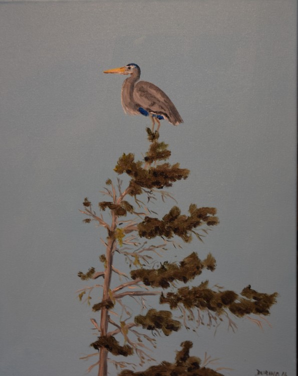 heron 4