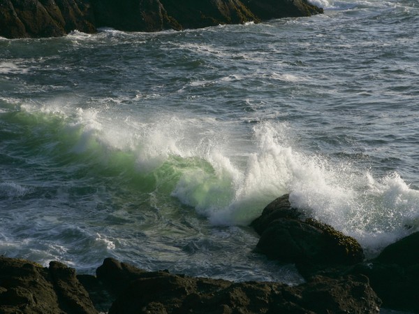 Bash Splash