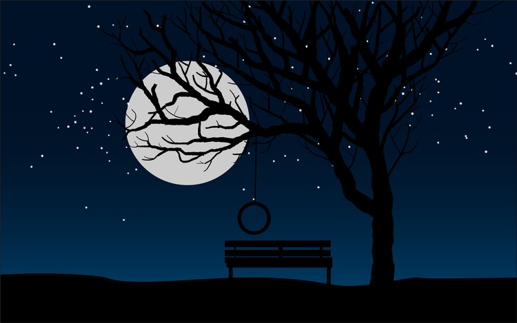 bench under the beautiful starry sky