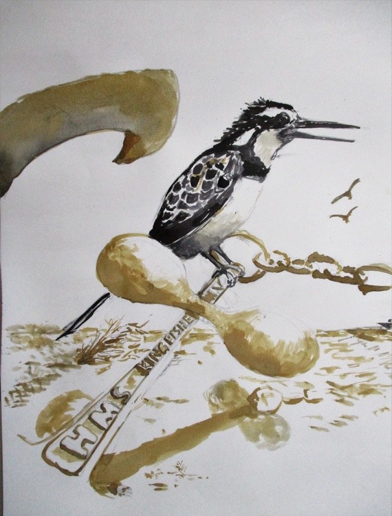 Pied kingfisher