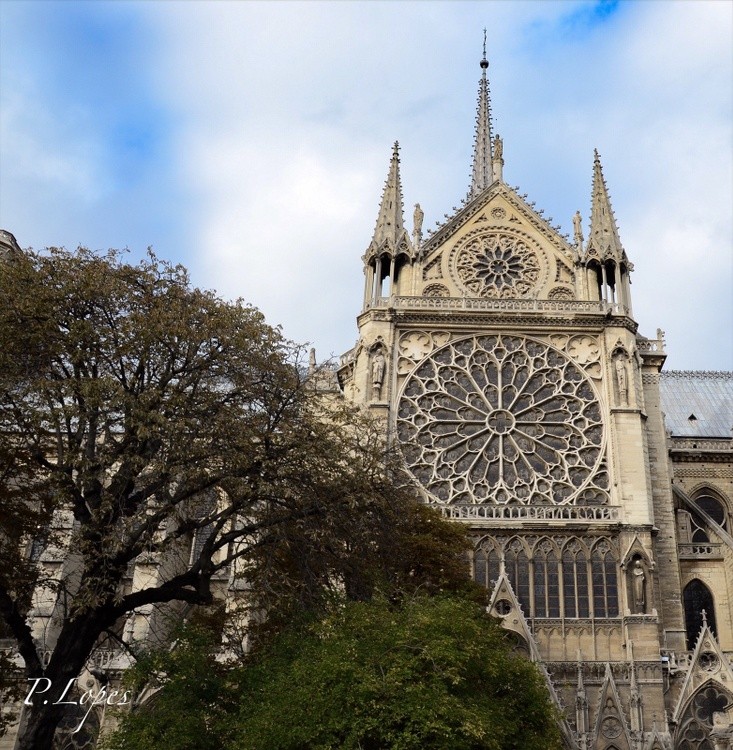 Paris #3
