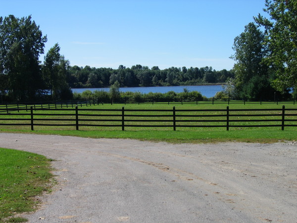 Fences are my favourites