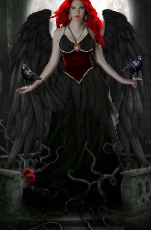 Black Raven