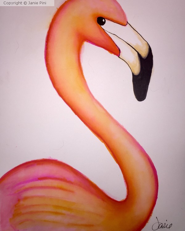Flamingo 2