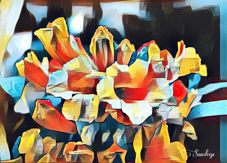 Flower Bunch