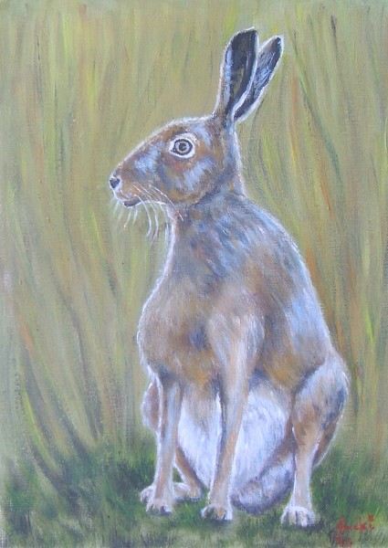 The Hare In My Garden