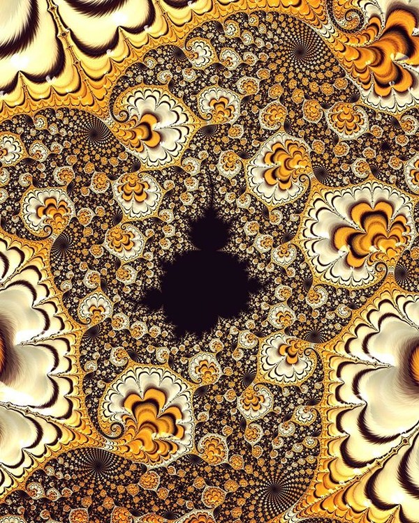 ??Tiger abstract floral art!
??Should I start again creating fractals with animal textures? ??Tag y