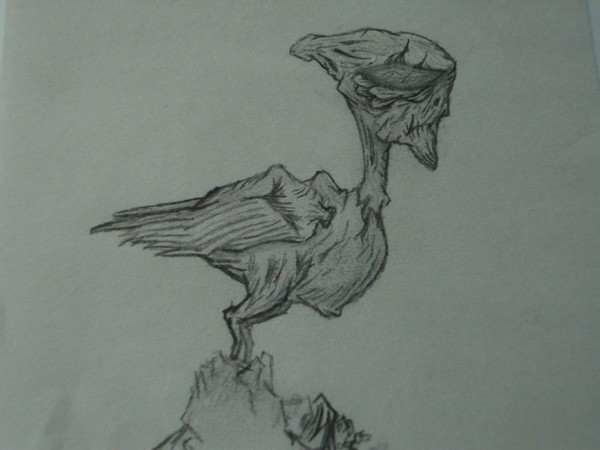 birds eye