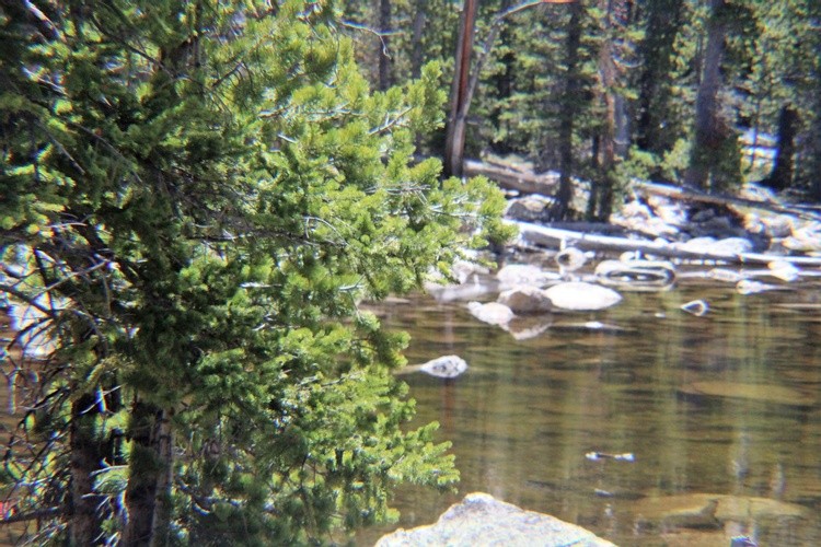 Mountain Pond