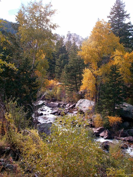 Fall in the Canyon