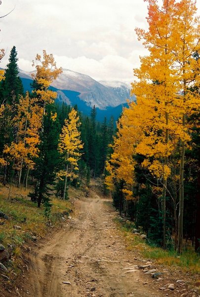 Off-Road Color