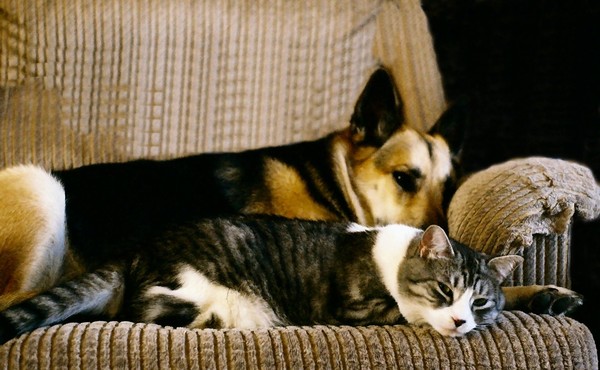 Best of Friends