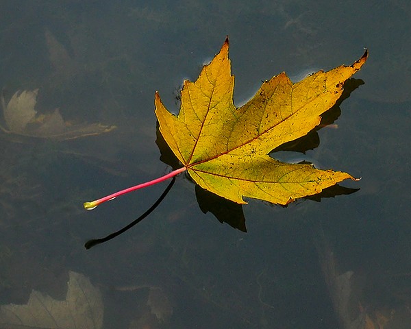 Floating