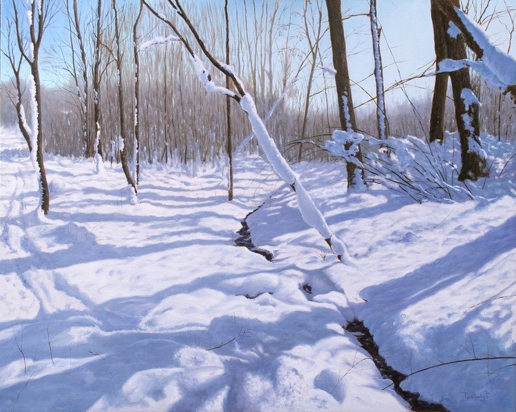 Stream in the Snow