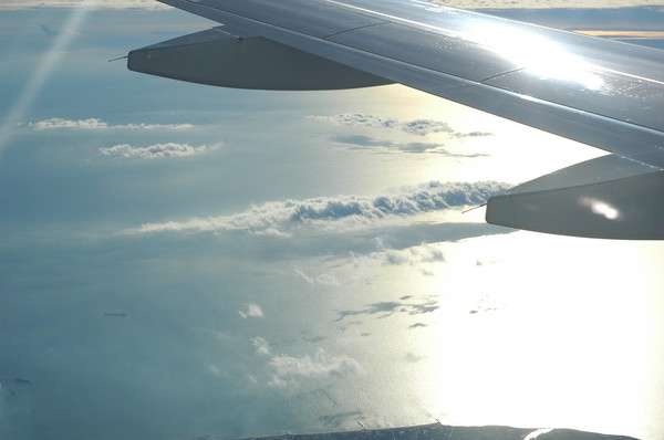Nice world