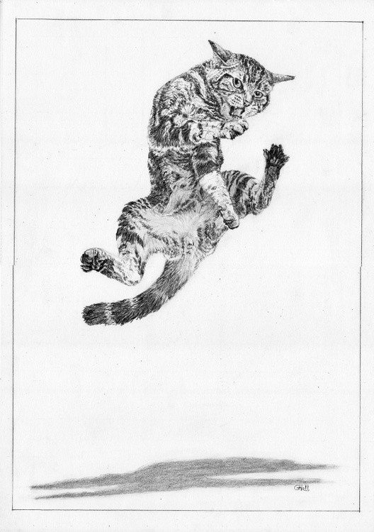 Karate Kat